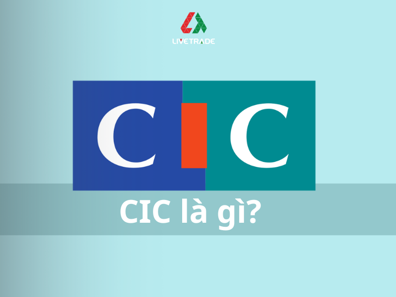 Cic la gi