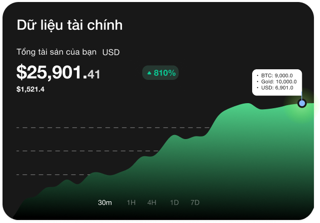 dữ liệu tài chính