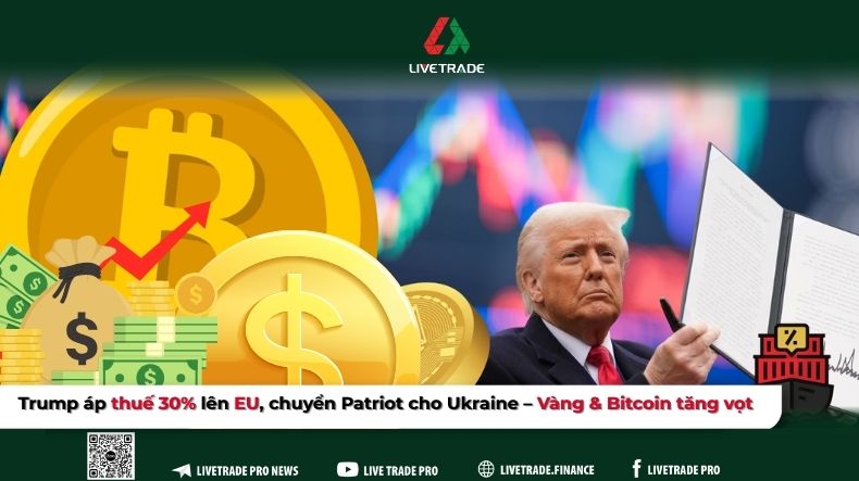 vn WEB 2 1