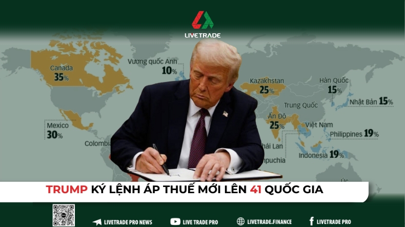 vn WEB 14