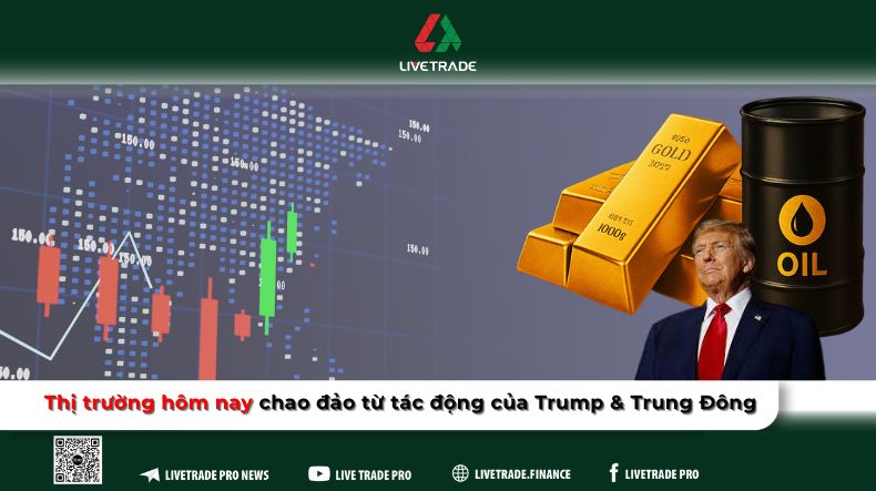 thi trường hôm nay