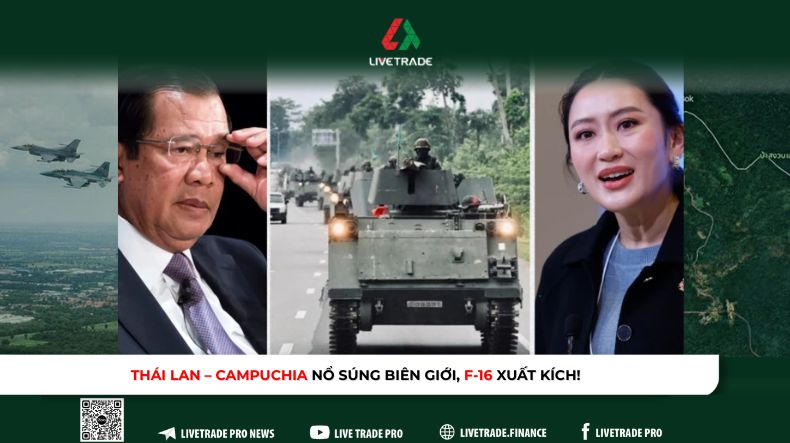 vn WEB 9