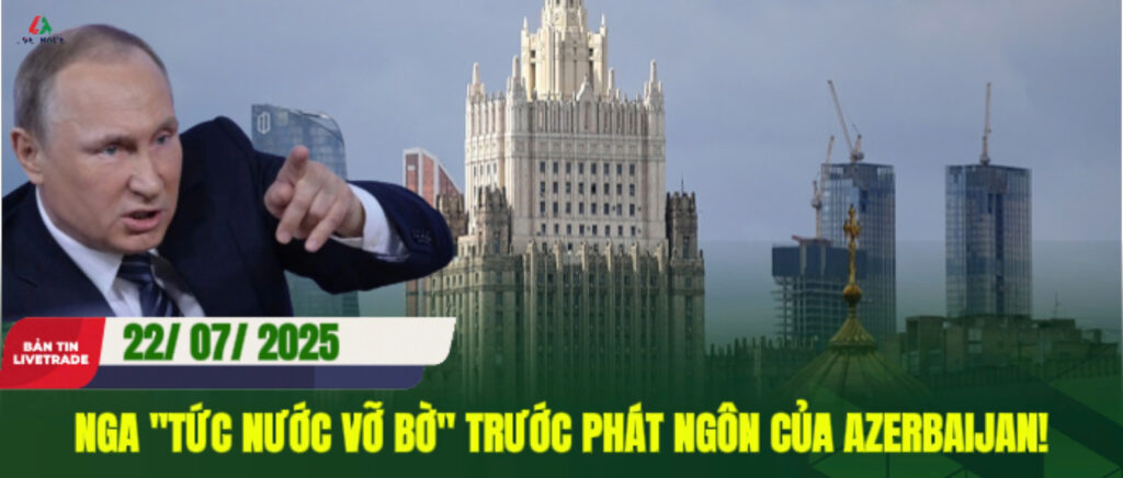 vn web 15